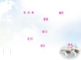 中考物理复习第18讲电与磁教学课件