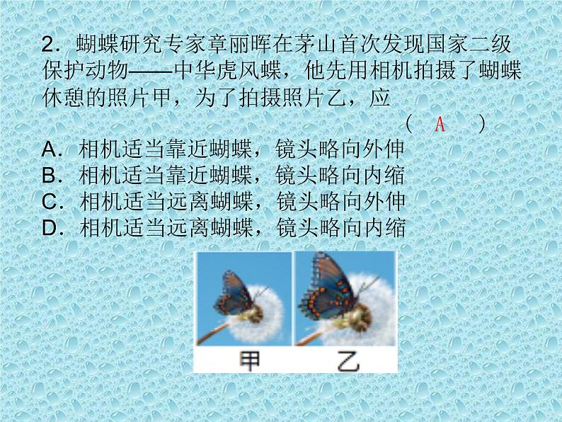 2023年中考物理一轮复习课件  4、透镜及其应用 (第3课时）第5页