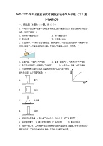 安徽省安庆市桐城市实验中学2022—2023学年八年级下学期期中学情检测物理试题