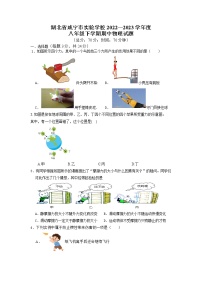 湖北省咸宁市实验学校2022—2023学年度 八年级下学期期中物理试题