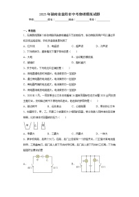 2023年湖南省益阳市中考物理模拟试题