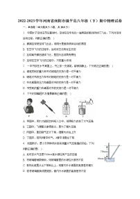 2022-2023学年河南省南阳市镇平县八年级（下）期中物理试卷（含解析）