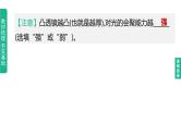 2023年中考物理（人教版）一轮复习课件：第05课时　透镜及其应用 (含答案)