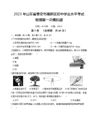 2023学年山东省泰安市高新区中考物理第一次模拟试卷（含答案）