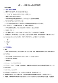 中考物理二轮复习考点讲解与题型练习专题12 三种常见的力及其作用效果（教师版）