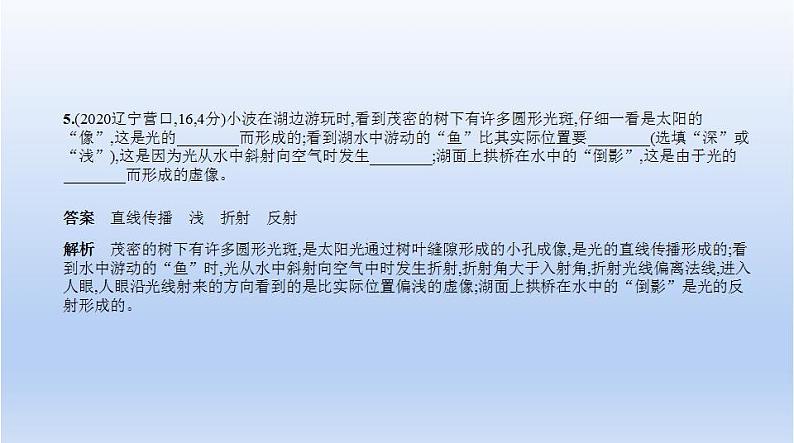 中考物理二轮复习习题课件专题三　光现象 (含答案)第6页