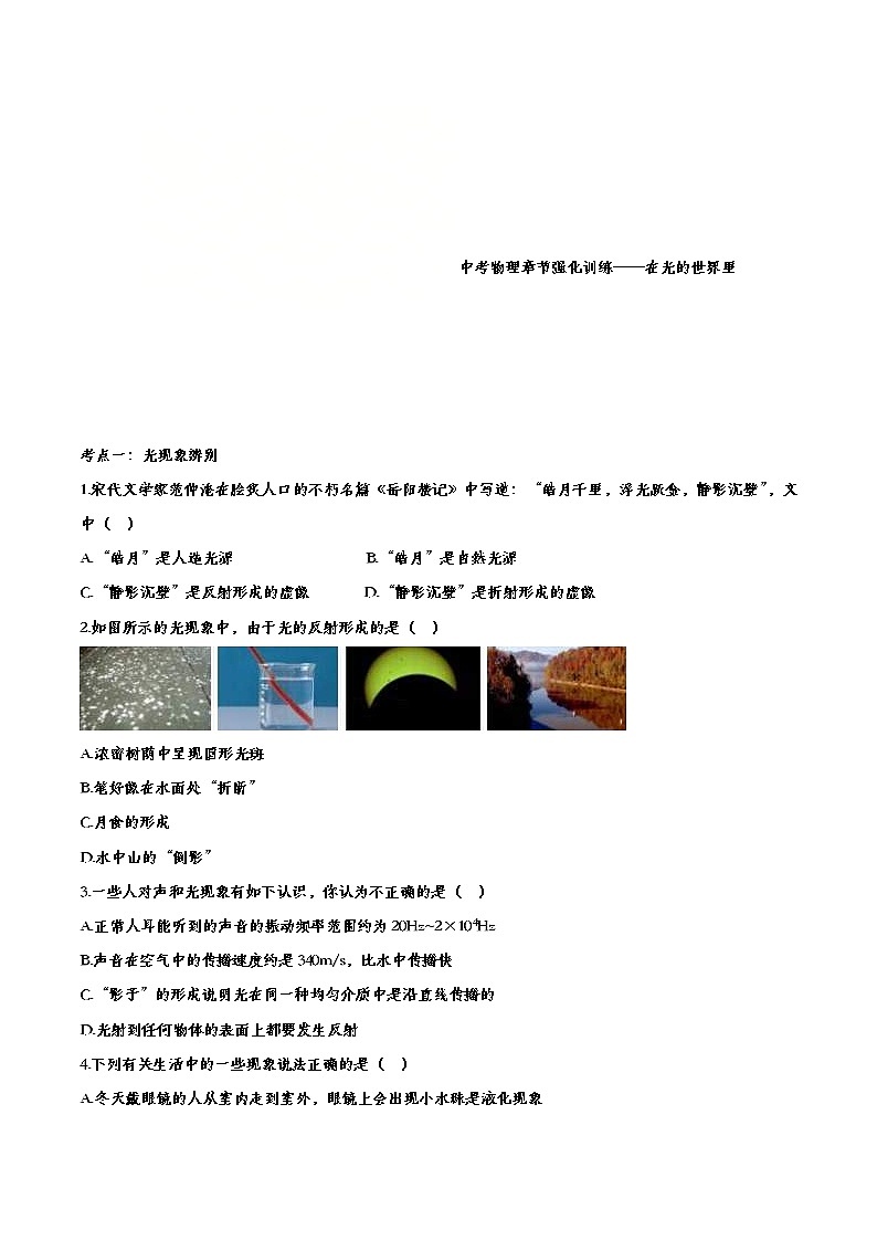 中考物理一轮复习强化训练——在光的世界里 (含答案)第1页