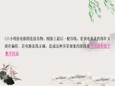 中考物理复习第14讲欧姆定律第3课时伏安法测电阻作业课件