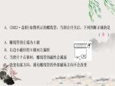中考物理复习第18讲电与磁作业课件