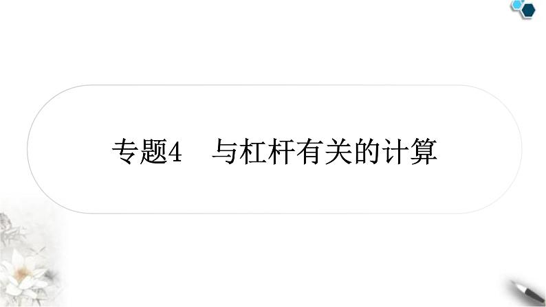 中考物理复习专题4与杠杆有关的计算作业课件第1页