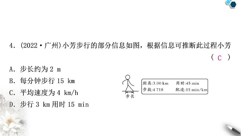 中考物理复习第6讲机械运动作业课件第5页