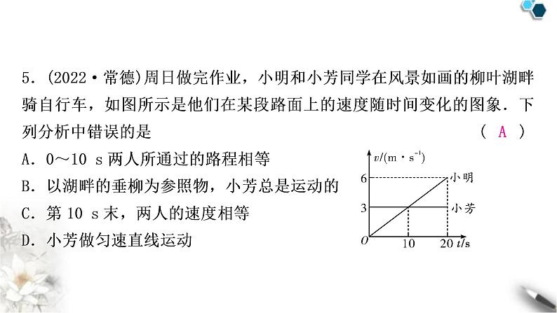 中考物理复习第6讲机械运动作业课件第6页