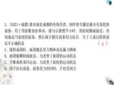 中考物理复习第8讲力运动和力作业课件