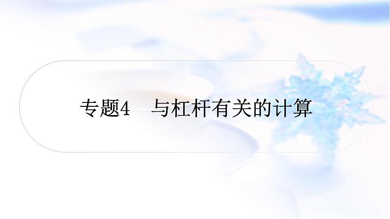 中考物理复习专题4与杠杆有关的计算教学课件01