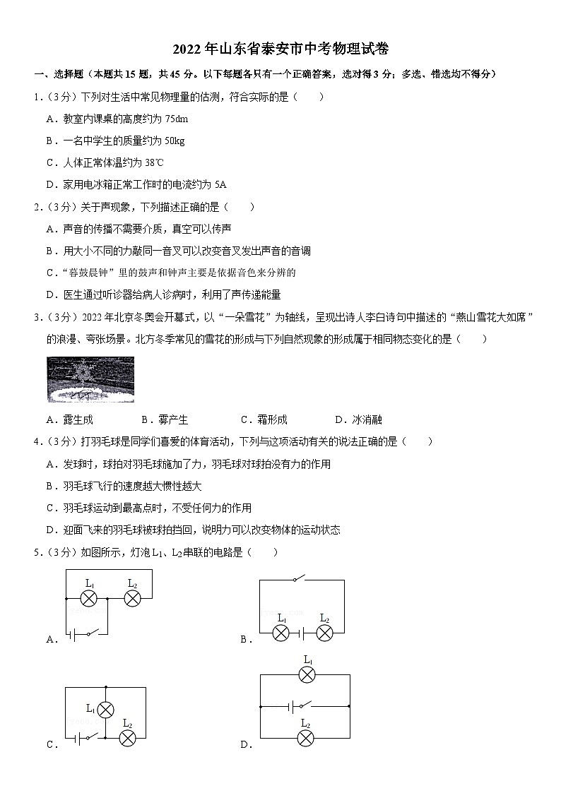 2022年山东省泰安市中考物理试卷01