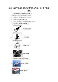 云南省昆明市嵩明县2022-2023学年八年级下学期期中物理试卷