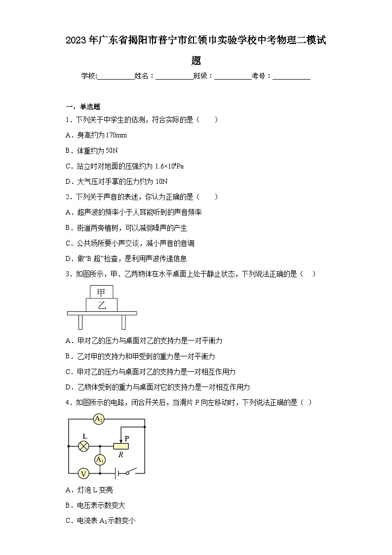 2023年广东省揭阳市普宁市红领巾实验学校中考物理二模试题01