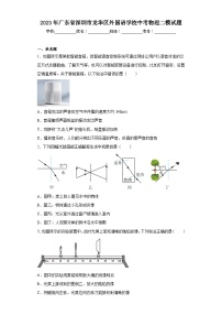 2023年广东省深圳市龙华区外国语学校中考物理二模试题