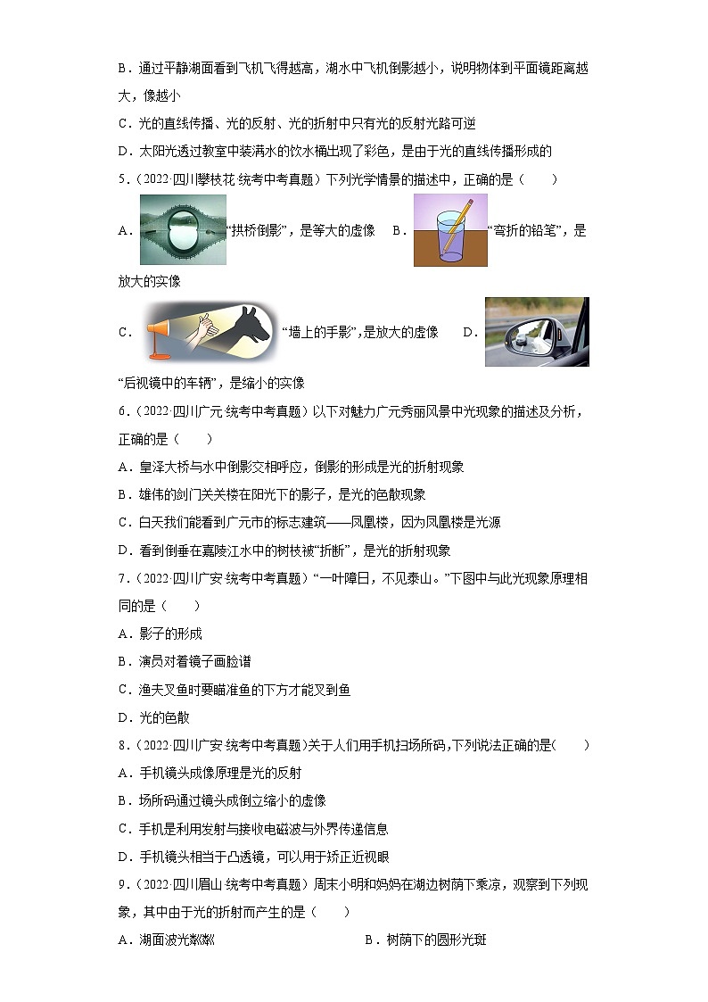 四川省各地市2022年中考物理真题分项汇编-32光学（选择题）第2页