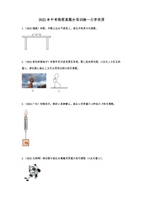 2022年中考物理真题分类训练—力学作图