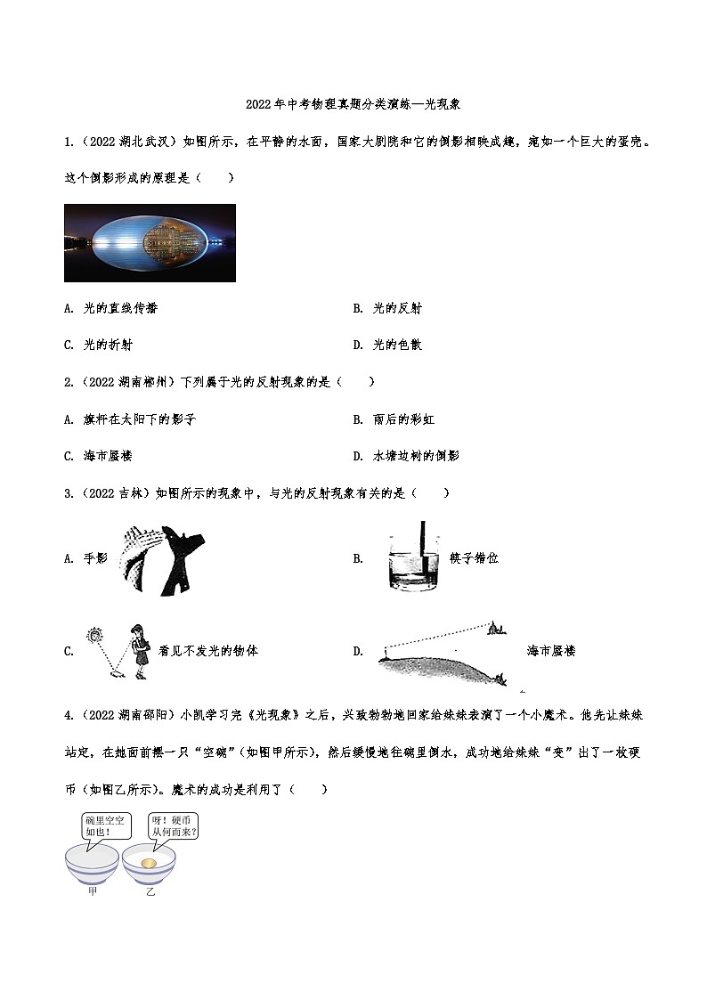 2022年中考物理真题分类演练—光现象01