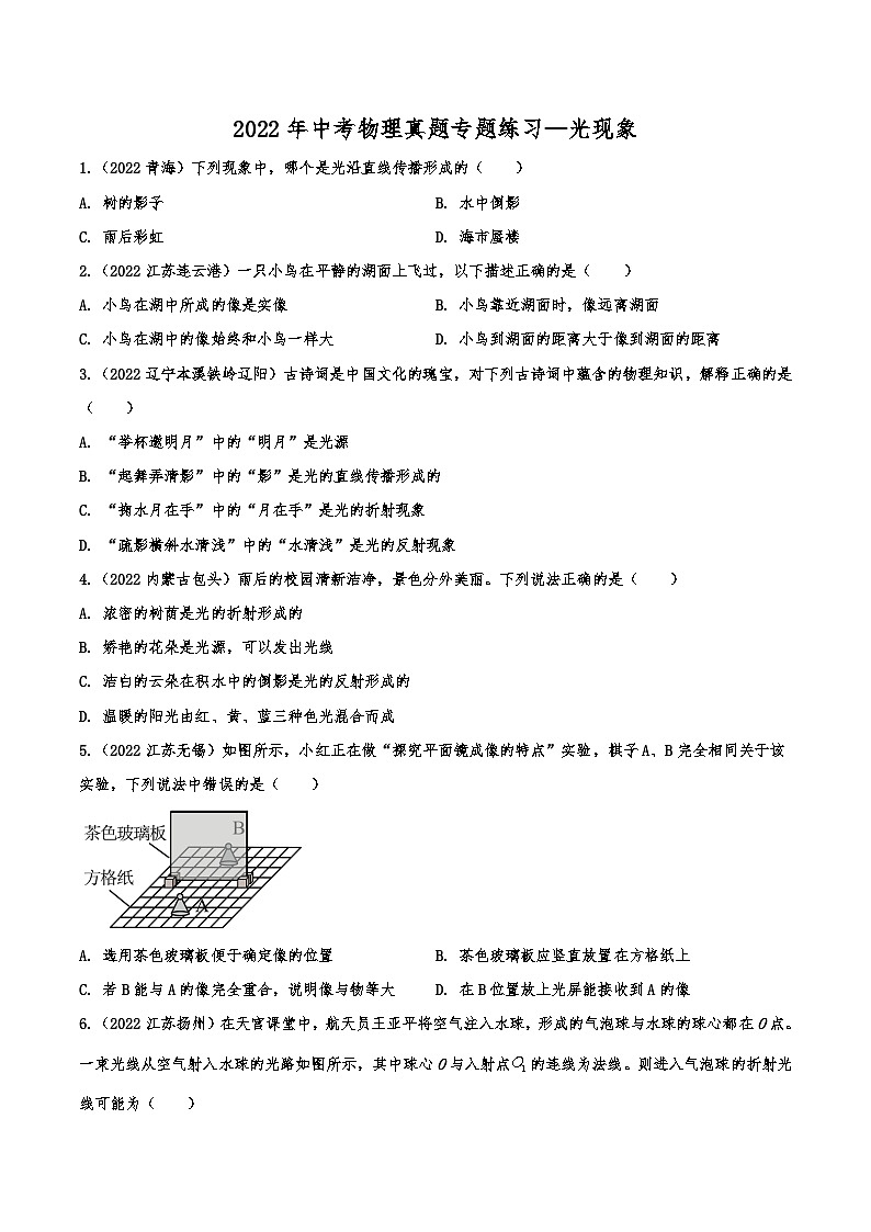 2022年中考物理真题专题练习—光现象（二）第1页