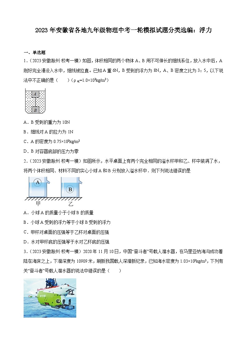 2023年安徽省各地九年级物理中考一轮模拟试题分类选编：浮力01