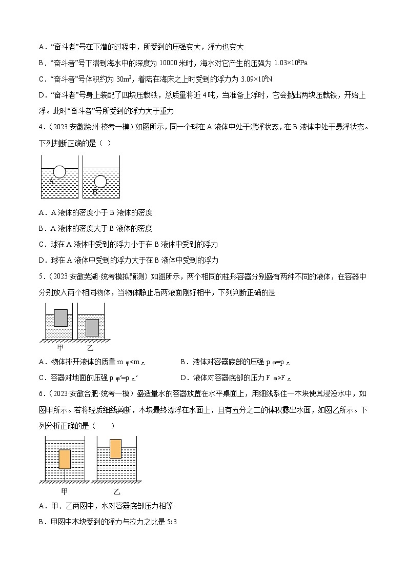 2023年安徽省各地九年级物理中考一轮模拟试题分类选编：浮力02