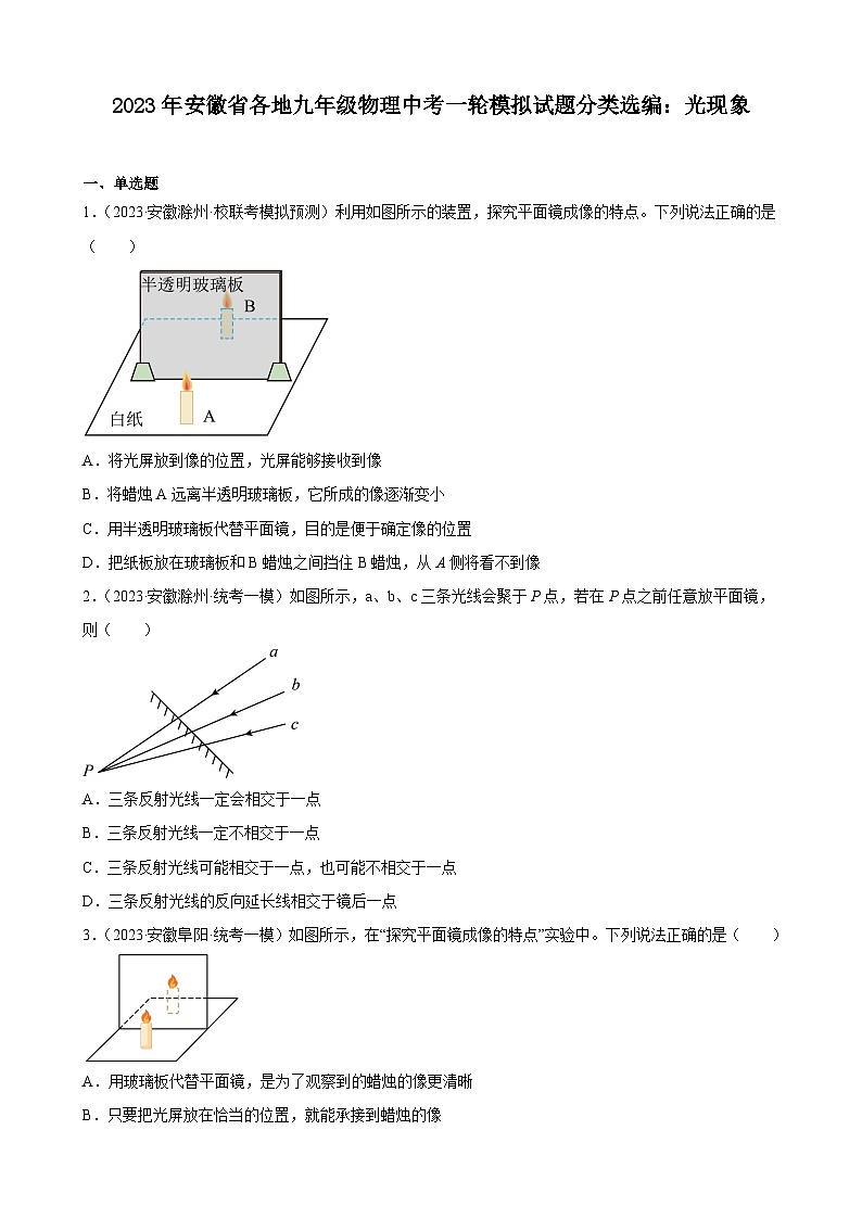 2023年安徽省各地九年级物理中考一轮模拟试题分类选编：光现象01