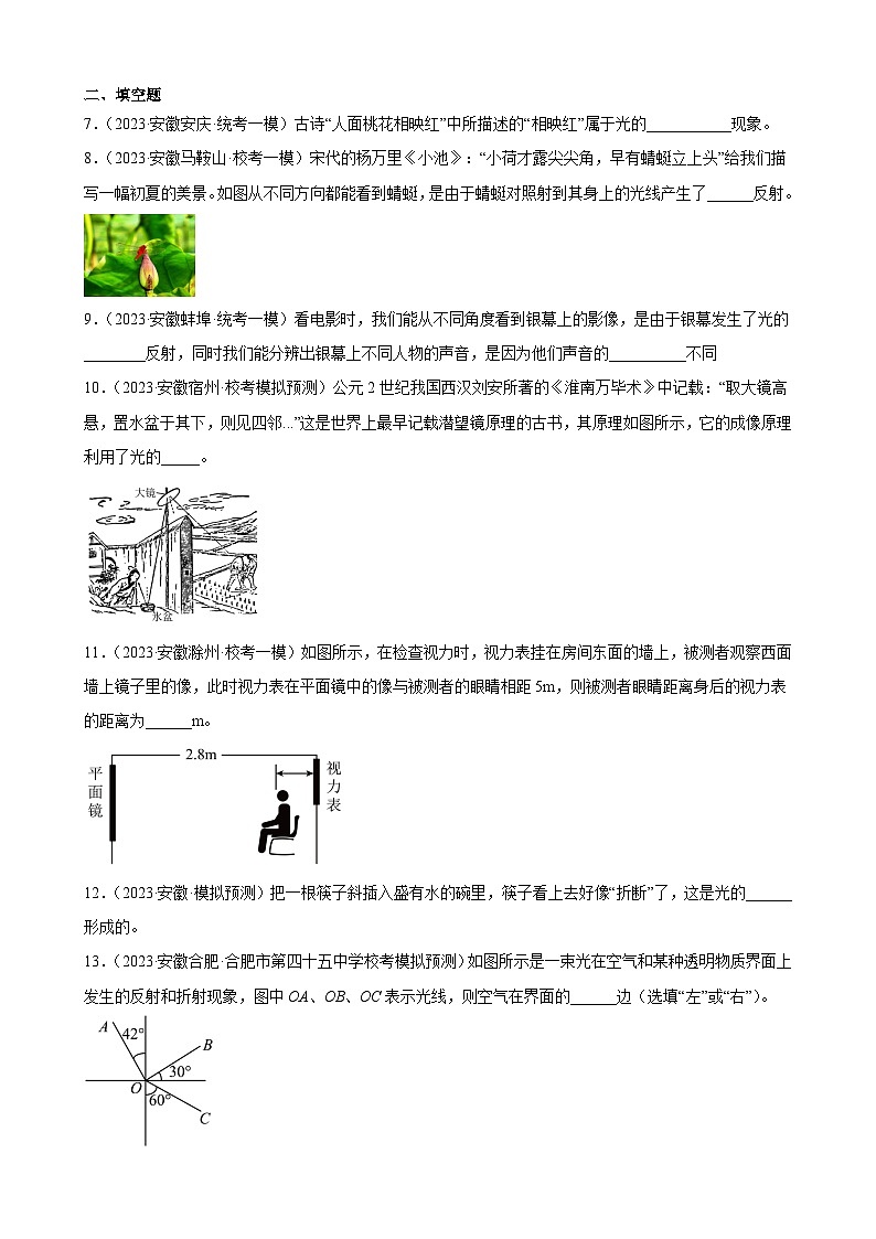 2023年安徽省各地九年级物理中考一轮模拟试题分类选编：光现象03