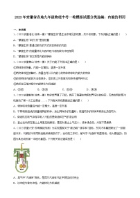 2023年安徽省各地九年级物理中考一轮模拟试题分类选编：内能的利用