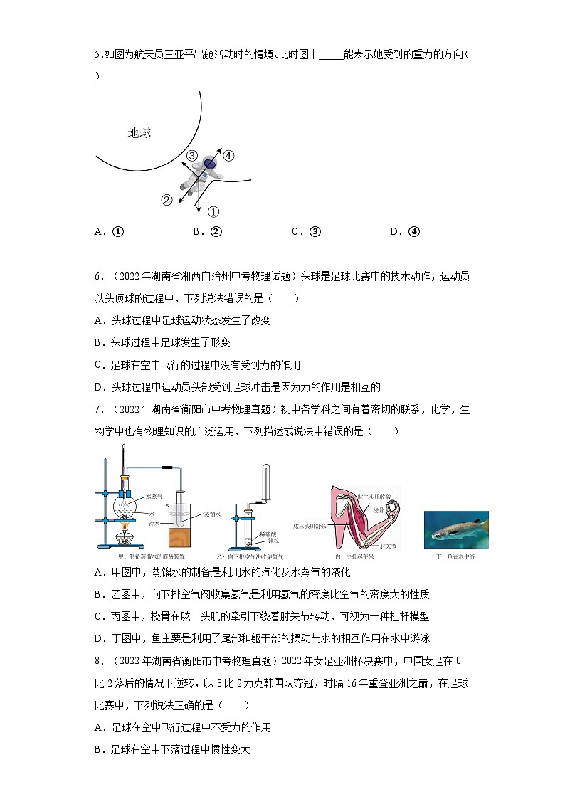 湖南省各地市2022年中考物理真题分项汇编-04力的概念与性质、弹力、重力02