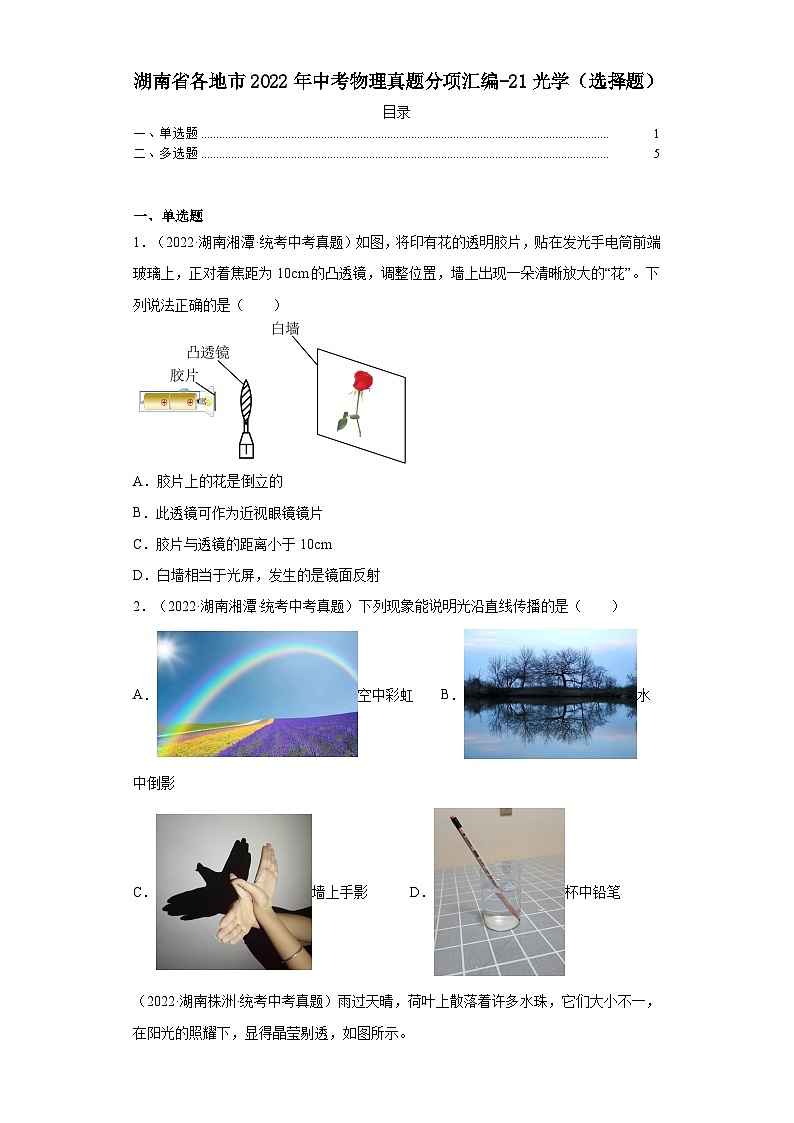 湖南省各地市2022年中考物理真题分项汇编-21光学（选择题）01