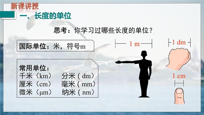 第1课时  长度的单位和测量第7页