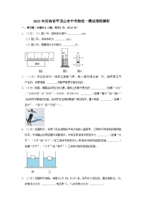 2023年河南省平顶山市中考物理一模试卷附解析