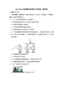 2023年山东省聊城市临清市中考物理二模试卷（含答案）