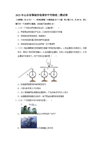 2023年山东省聊城市临清市中考物理二模试题（含答案）