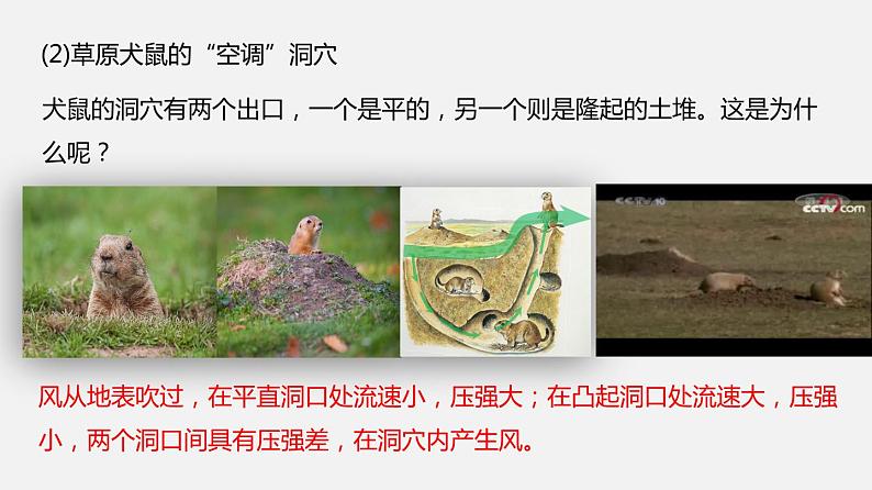 9.4流体压强与流速的关系（课件）07