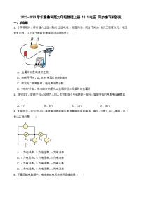 初中物理鲁教版 (五四制)九年级上册第一节 电压课后练习题