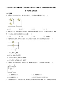 物理九年级上册第一节 电压课时训练