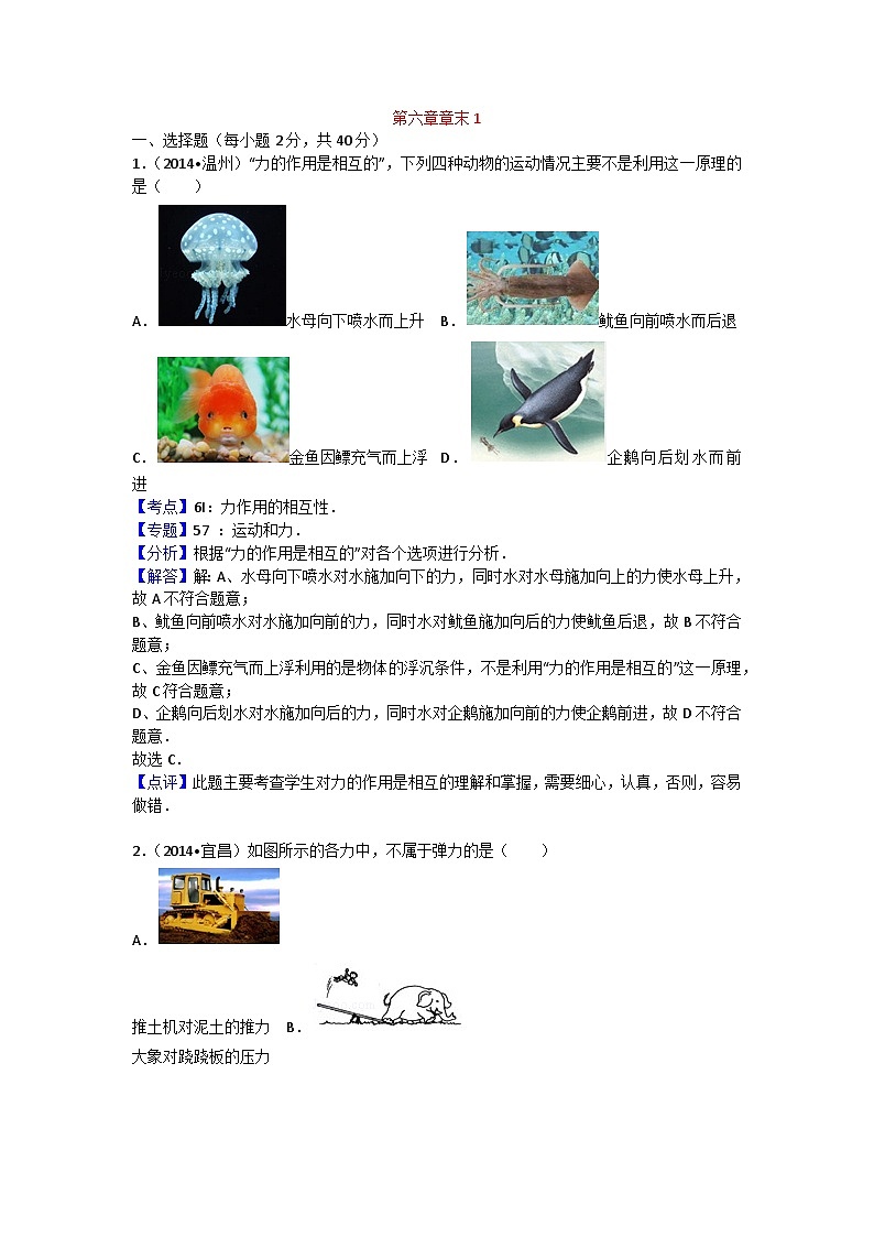 沪科版八年级物理第六章测试卷101