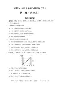 2023年湖南省永州祁阳市中考物理仿真试题（三）