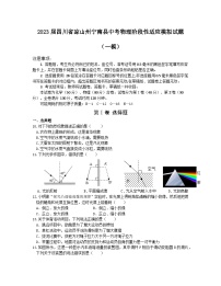 2023届四川省凉山州宁南县中考物理阶段性适应模拟试题（一模）含解析