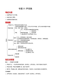 考点01  声现象 备战中考物理一轮复习知识点+练习（含答案解析）