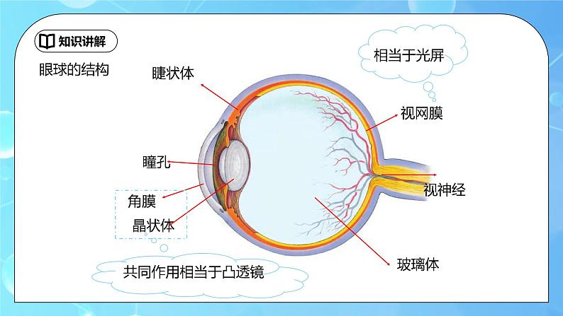 5.4《眼睛和眼镜》ppt课件+教学设计+同步练习题（含参考答案）06