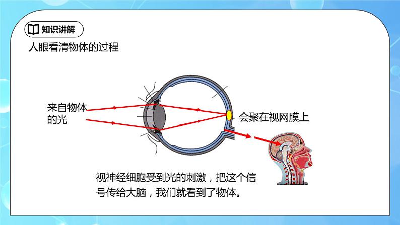 5.4《眼睛和眼镜》ppt课件+教学设计+同步练习题（含参考答案）07