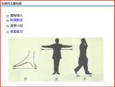 2.1 物体的尺度及其测量-北师大版八年级物理上册同步备课课件（ppt）