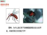 2.2 声音的特性 课件 2023-2024学年人教版物理八年级上册