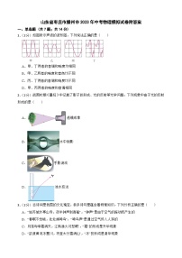 山东省枣庄市滕州市2023年中考物理模拟试卷附答案