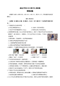 2023年四川省内江市威远中学校九年级第二次模拟考试物理试题（含答案）